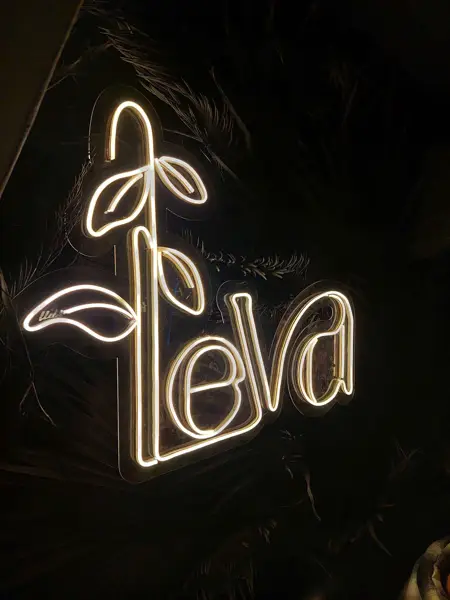 Leva House Cafe | کافه لوا هاوس