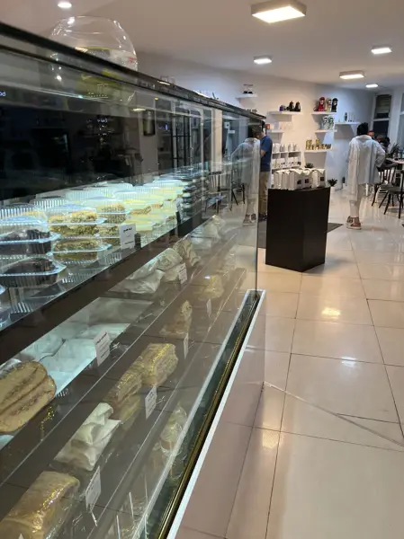 خانواده قهوه استلا