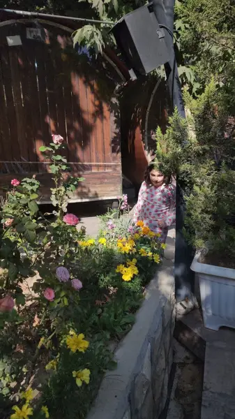 رستوران شاندیز آبشار
