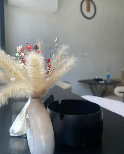  آئورا