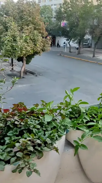  کافه فرد