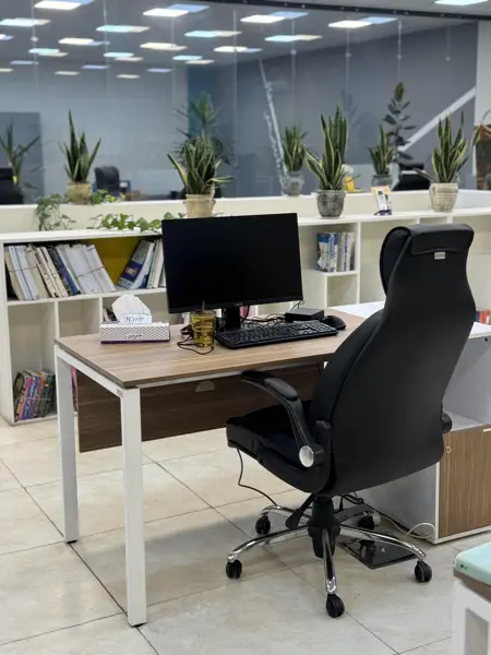 صندلی اختصاصی vip