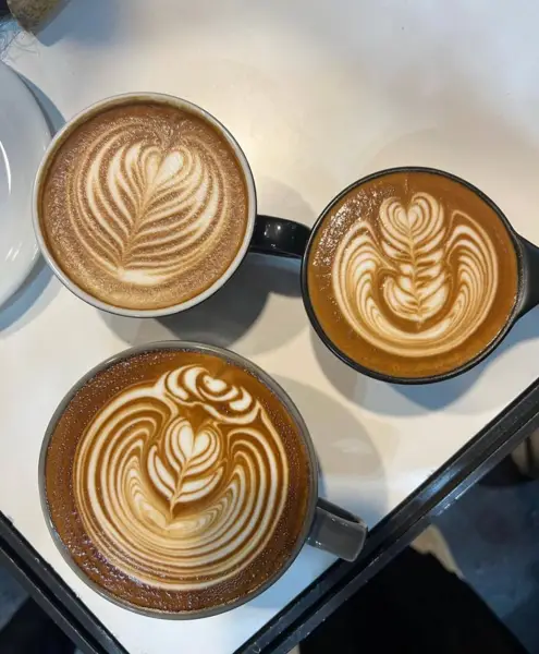  Caissa Cafe