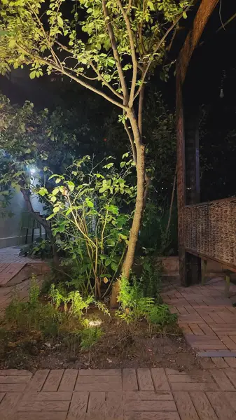 کافه کتاب خانه تجربه