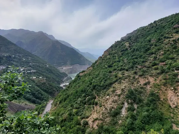  رستوران صورتی