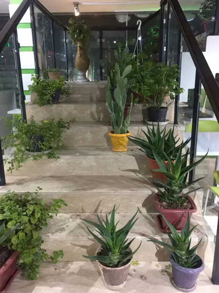 آی اف سی