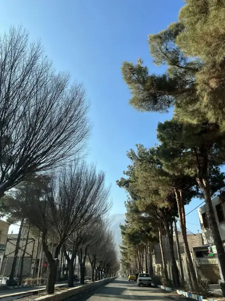  رستوران ایده آل