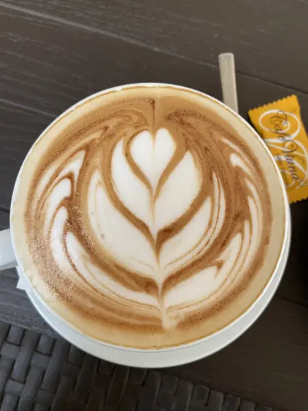  Cafe viuna