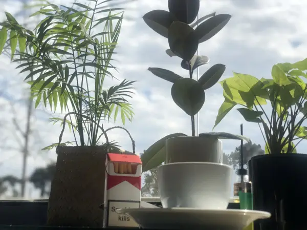  Macai cafe کافه ماکای