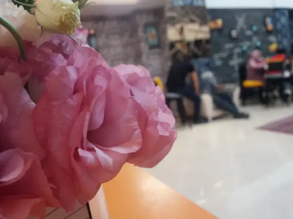  کافه سورسام | Cafe Sursam