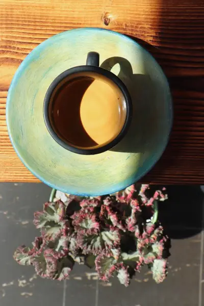  Dam coffee