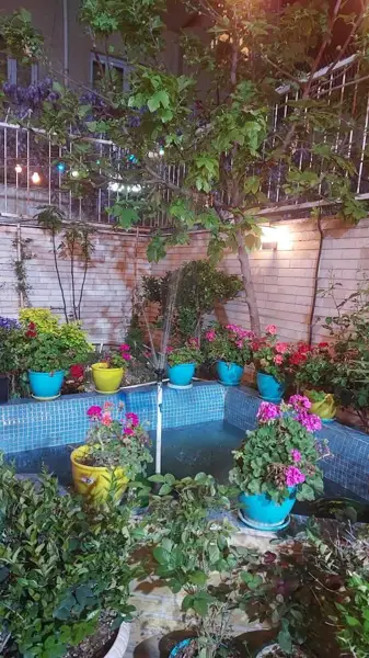 حیاط صندلی سبز
