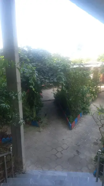 کافه رستوران سی ساید