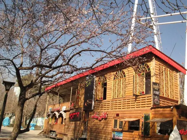  کافی شاپ کلبه چوبی