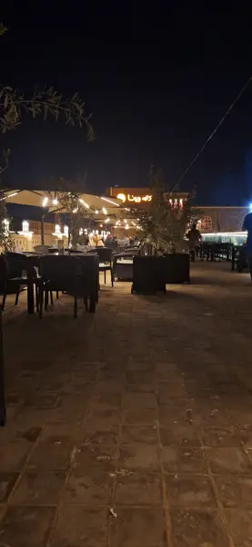  کافه ویونا