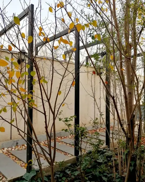  کافه کتاب بی‌خوابی