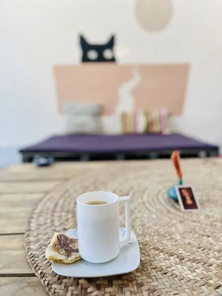  All-in café کافه آل-این
