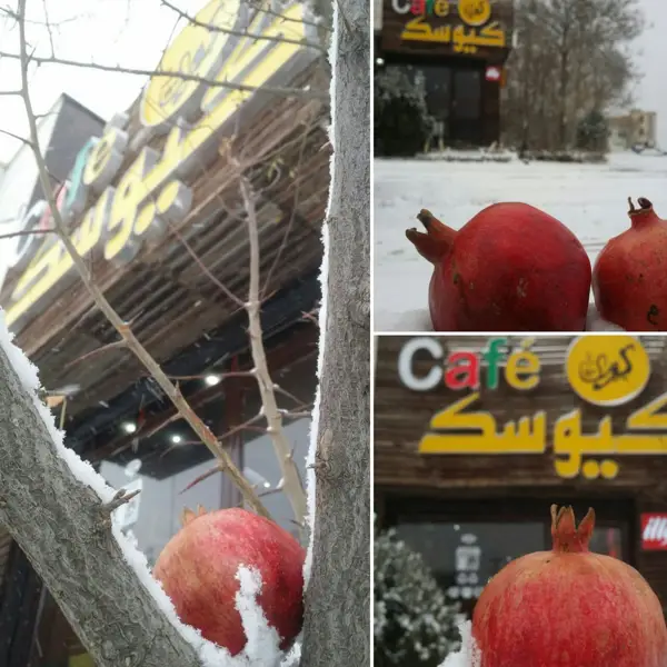 Kiosk Cafe'