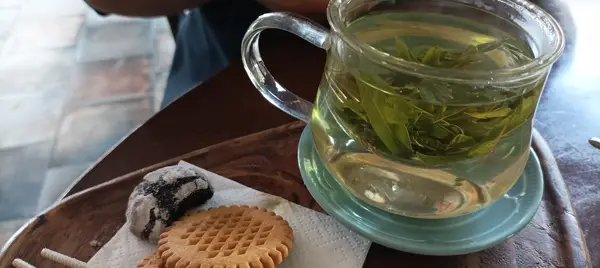  کافه شاپو