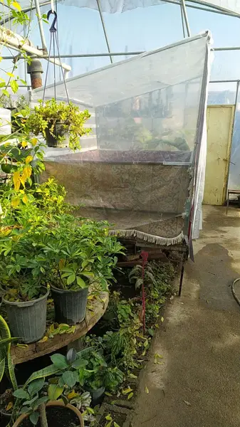  سفره خانه باغ سیکاس