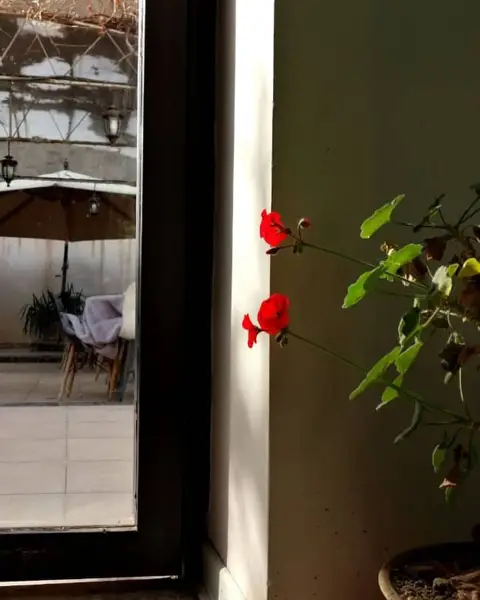  کافه کتاب بی‌خوابی