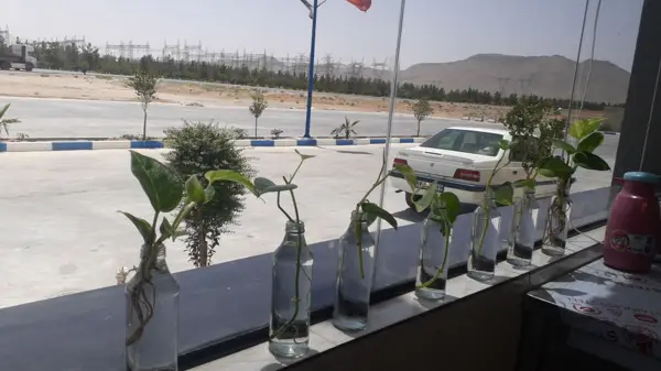  کافه کاسپین