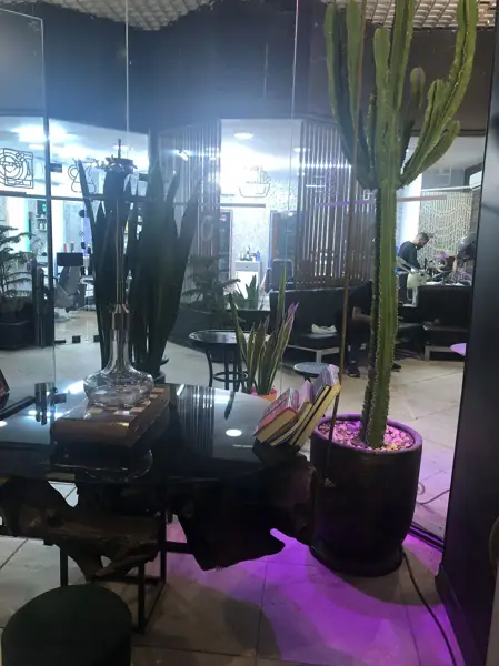  Gandom Café کافه گندم