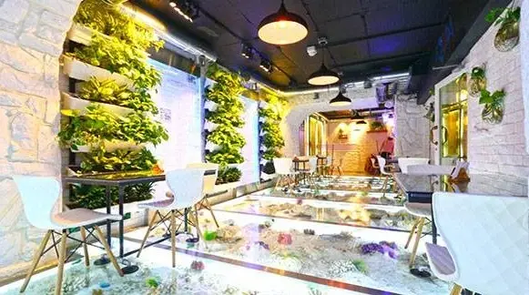 Aqua Cafe آکوا کافه