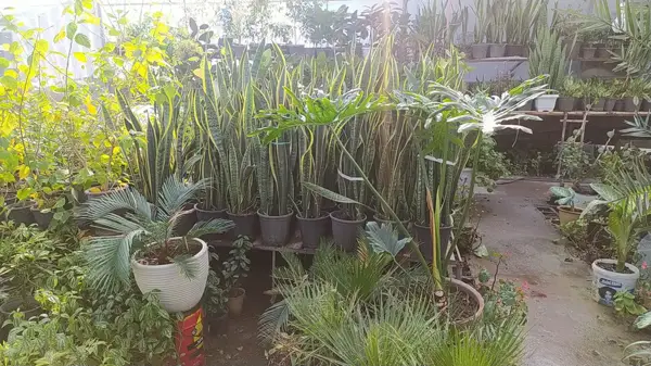  سفره خانه باغ سیکاس