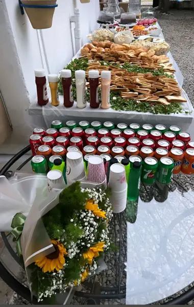  خونه باغ آتا