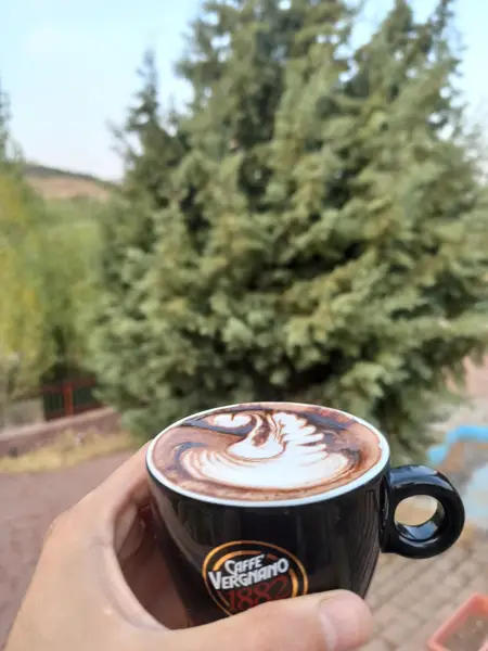  Pino Cafe