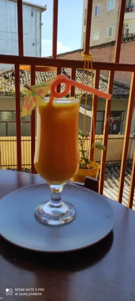 خونه طوسی (بازی . کافه تولد)