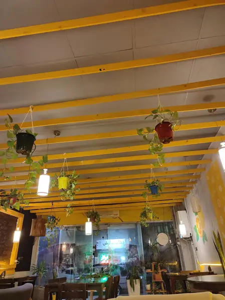  Lemon