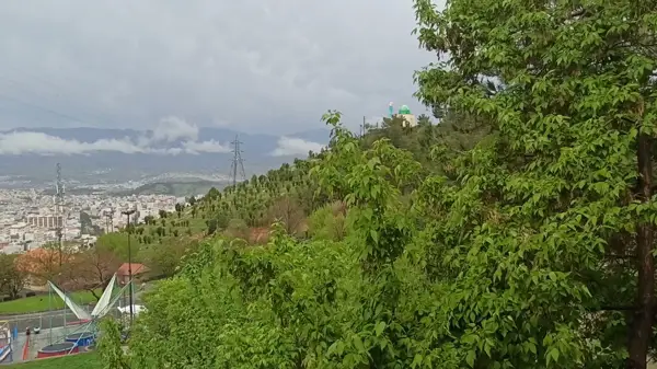  کافه رستوران دژاوو