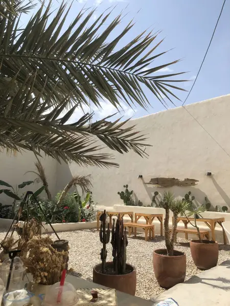  کافه روتس جزیره