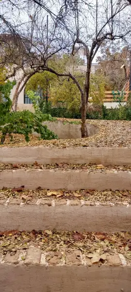  فضاهای عکاسی و باغ