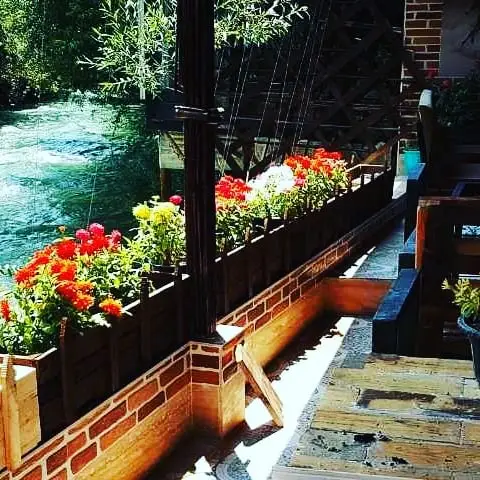  کافه شمیران | Cafe Shamiran