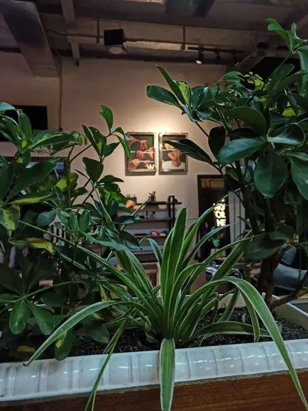  Lebén cafe restaurant