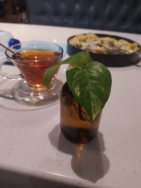  کافه رستوران ژیوان