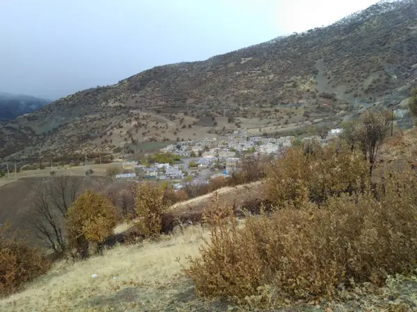 قهوه خانه گلابی نی آباد