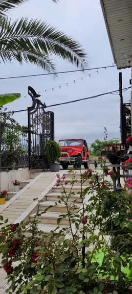 رستوران و کافی شاپ خیلی ماهی