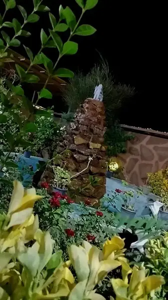 عالیجناب