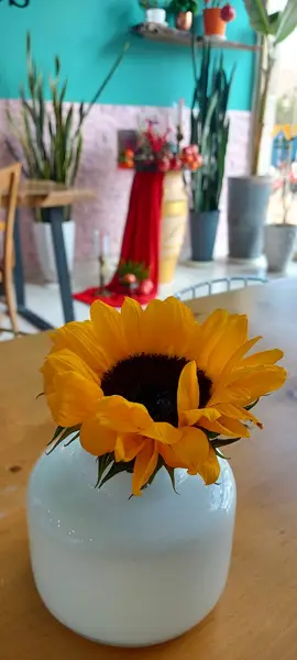  کافه صبحانه سدنا