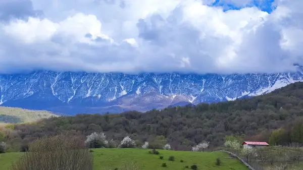  رستوران چشمه