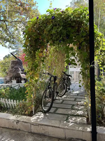  Armadillo.cafe کافه آرمادیلو