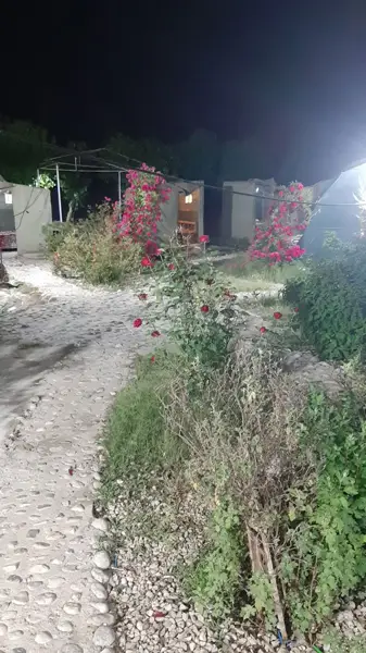  قهوه خانه و لژ خانوادگی اصلانی