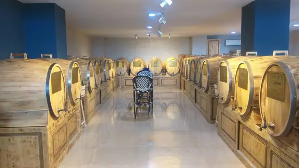  کافه اکسیژن