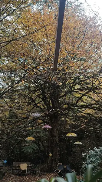 دو راهی کافه نویان