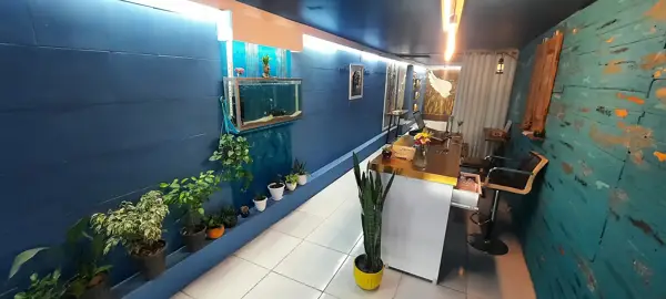  کافه ژو