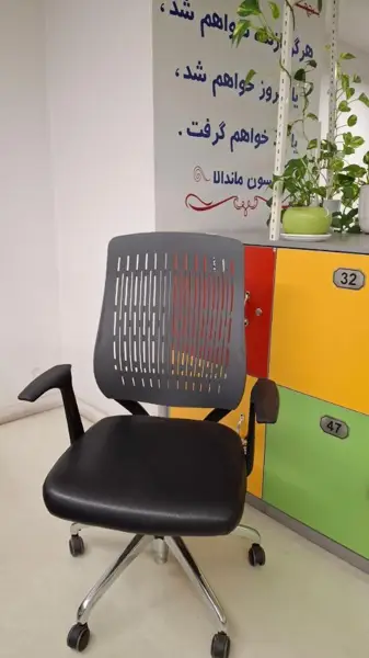صندلی کارمانا (دانشگاه صنعتی امیر کبیر)